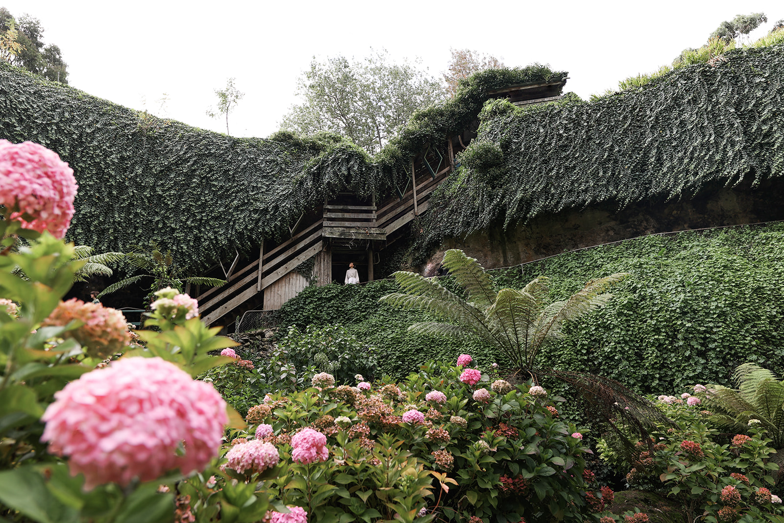 Visitor Economy Industry News